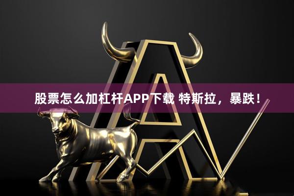 股票怎么加杠杆APP下载 特斯拉，暴跌！